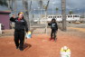 20120212020.jpg